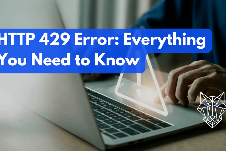 HTTP 429 Error: Everything You Need to Know