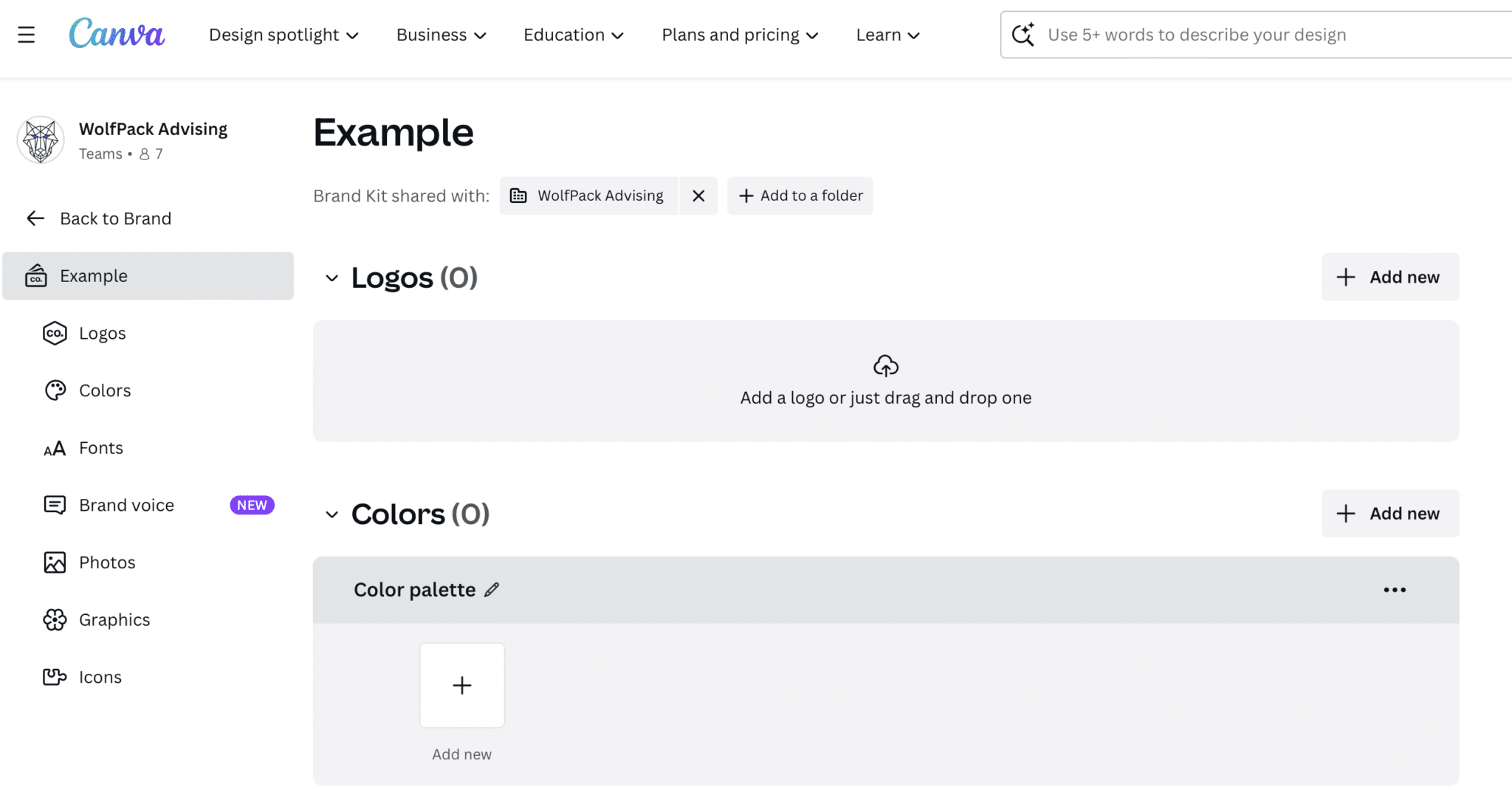 Brand Kit Example Fonts