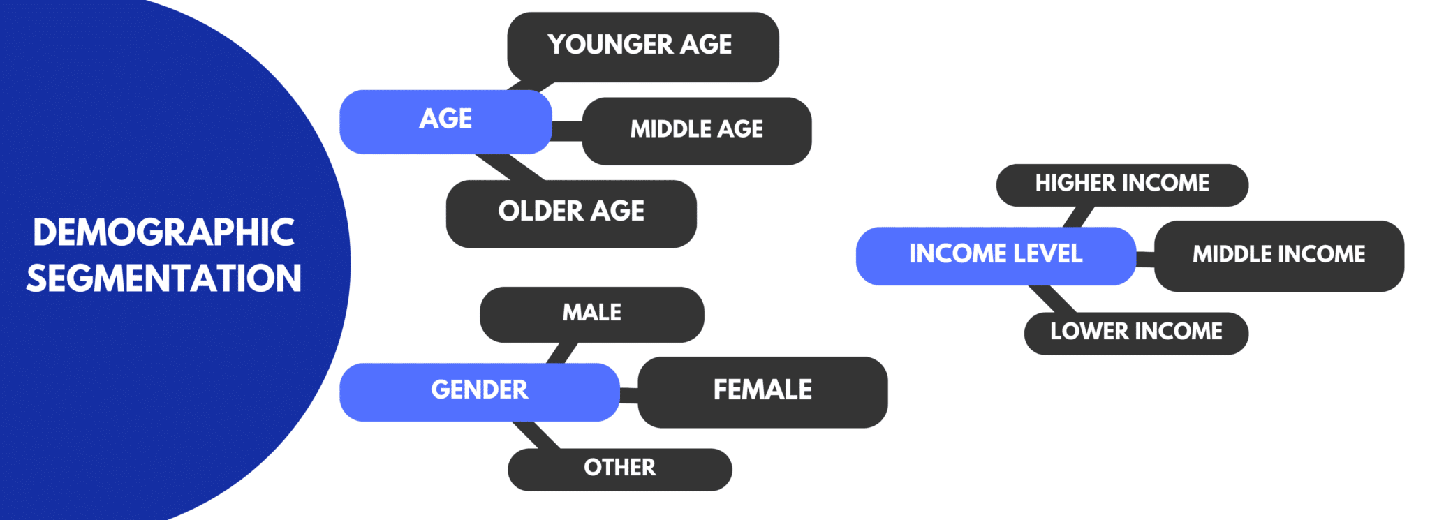 Demographic segmentation