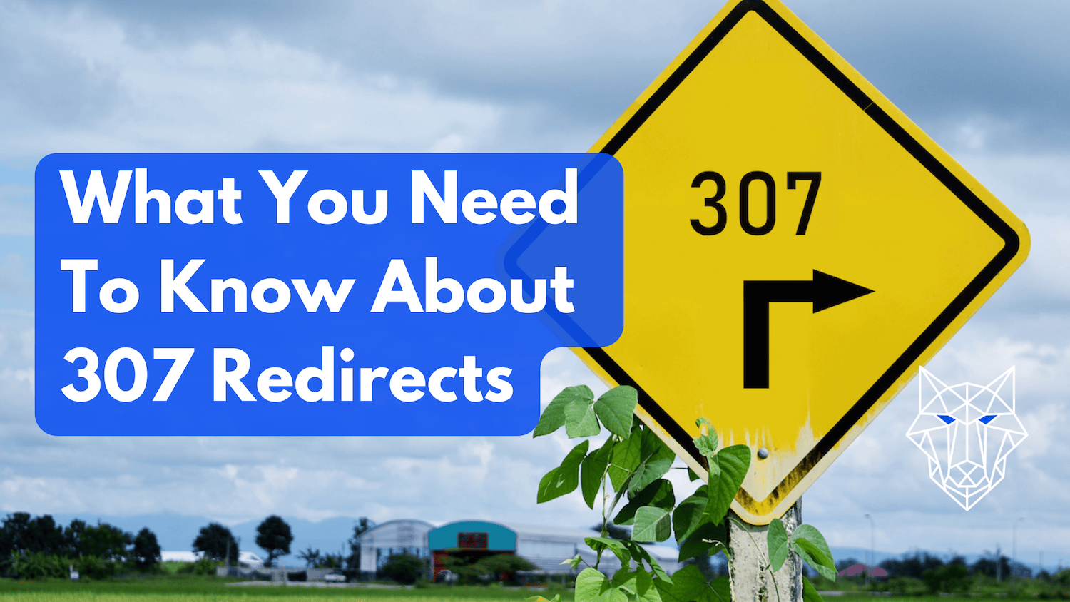 What You Need to Know About 307 Redirects